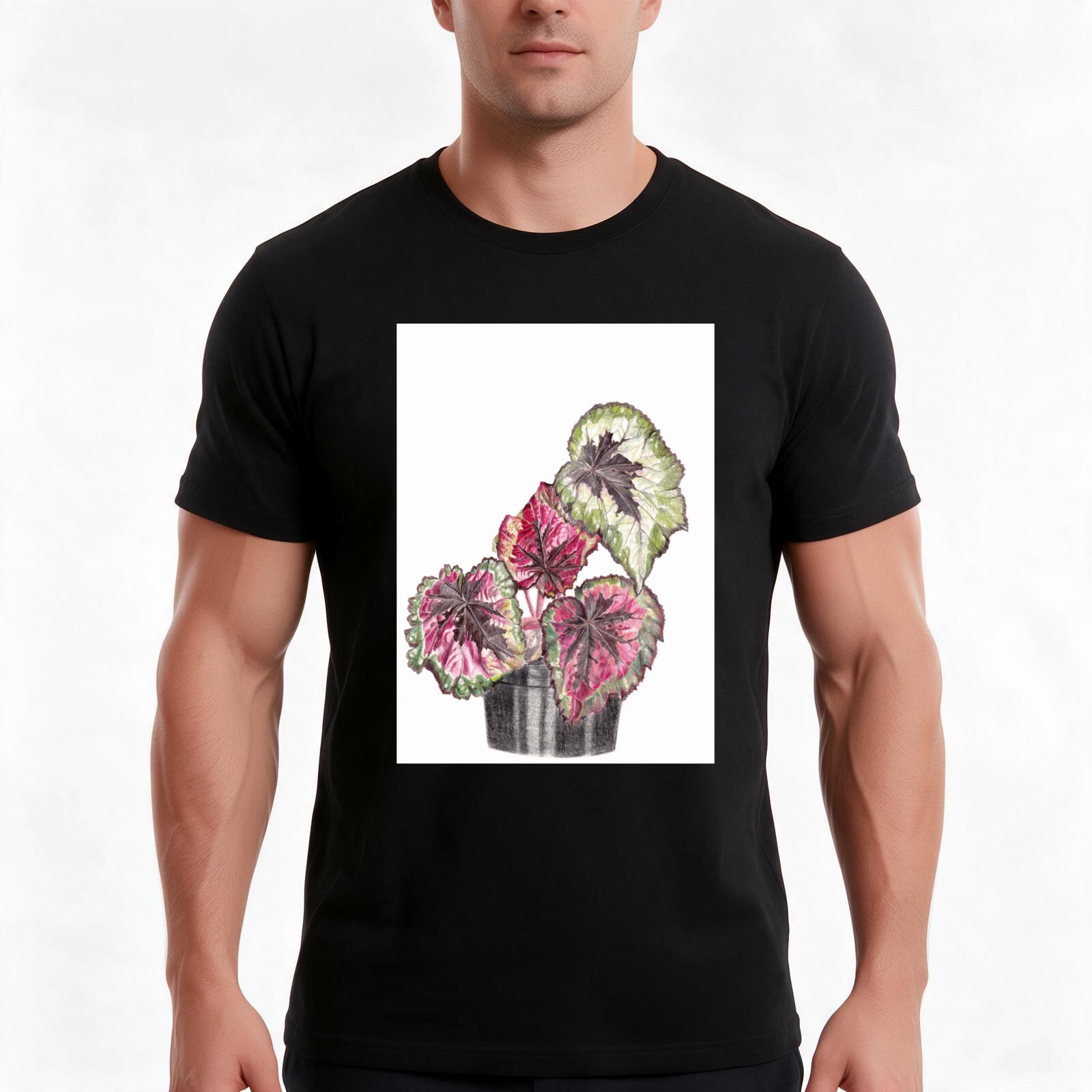Begonia Rex - เสื้อยืดลายเบโกเนีย เร็กซ์ เสื้อยืดผ้าฝ้ายลำลองสำหรับฤดูร้อน เสื้อสไตล์สตรีทแวร์ทรงโอเวอร์ไซส์ ลายกราฟิกวินเทจ แขนสั้นทรงหลวม