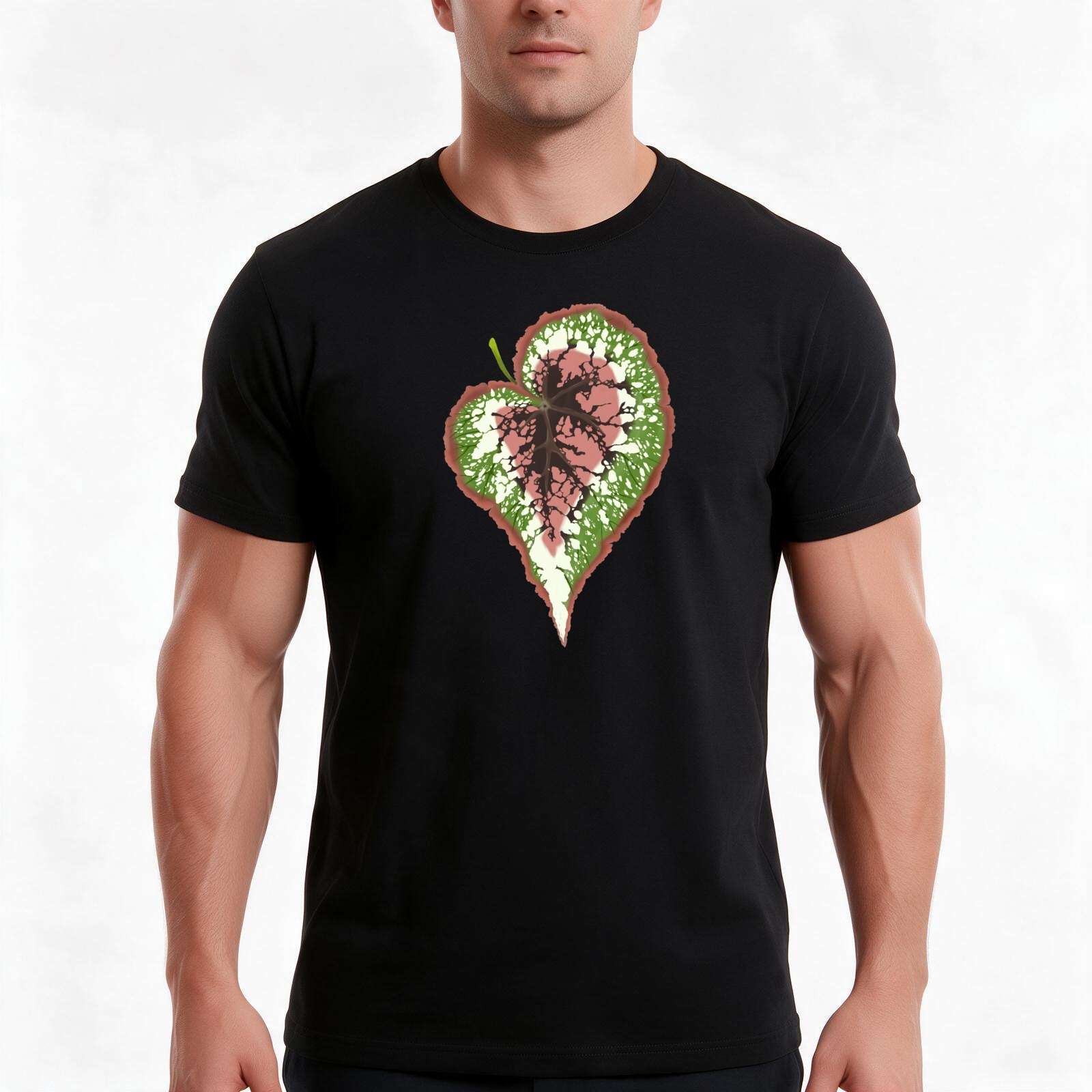 Begonia Rex - เสื้อยืดลายเบโกเนีย เร็กซ์ เสื้อยืดผ้าฝ้ายลำลองสำหรับฤดูร้อน เสื้อสไตล์สตรีทแวร์ทรงโอเวอร์ไซส์ ลายกราฟิกวินเทจ แขนสั้นทรงหลวม