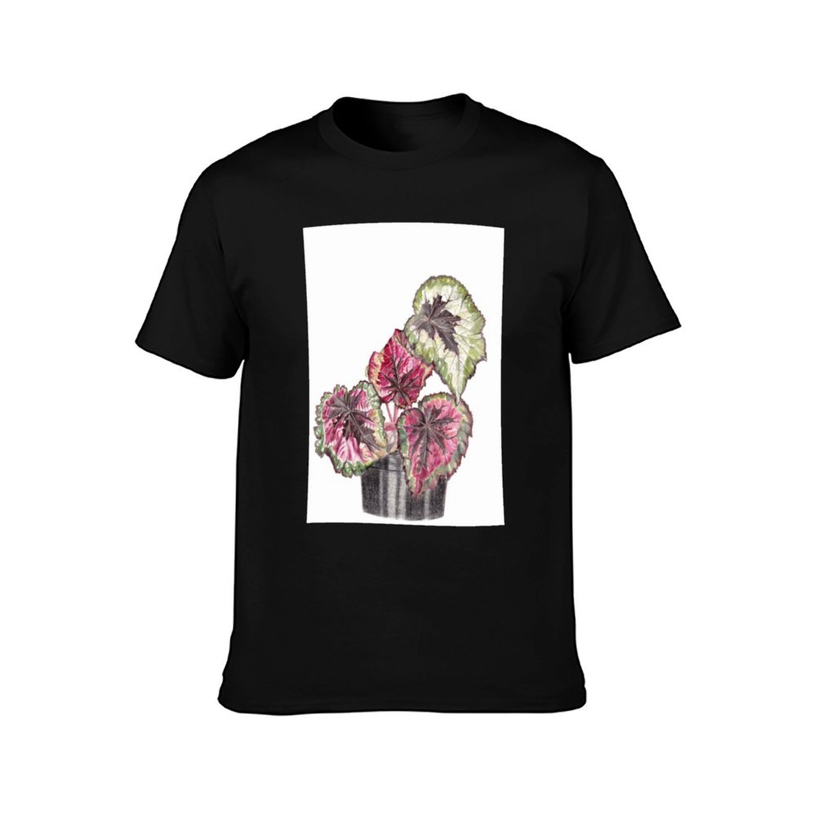 เสื้อยืดลายเบโกเนีย เร็กซ์ เสื - Begonia Rex บทวิจารณ์และราคา