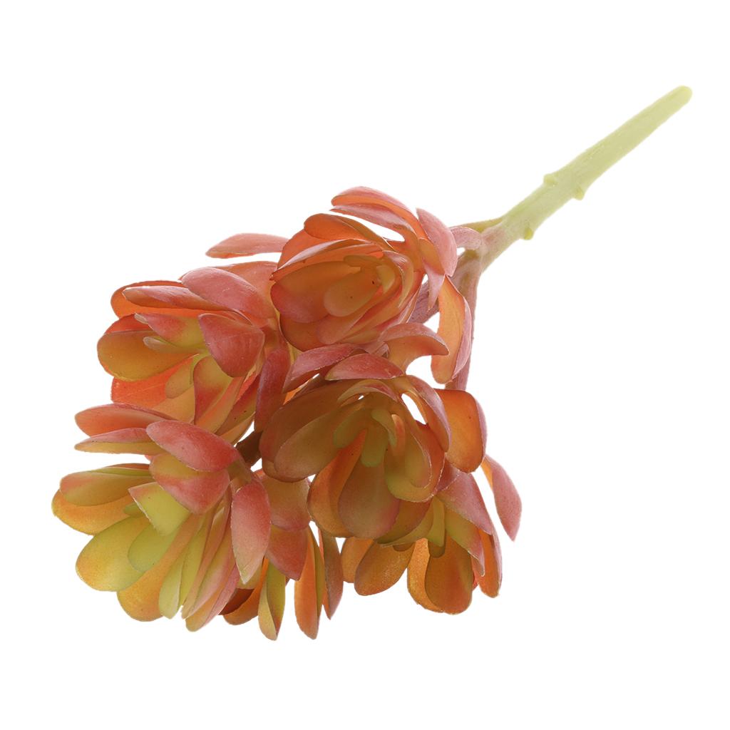 ต้นไม้ประดิษฐ์จากพลาสติก จำลอง - Echeveria Succulent บทวิจารณ์และราคา
