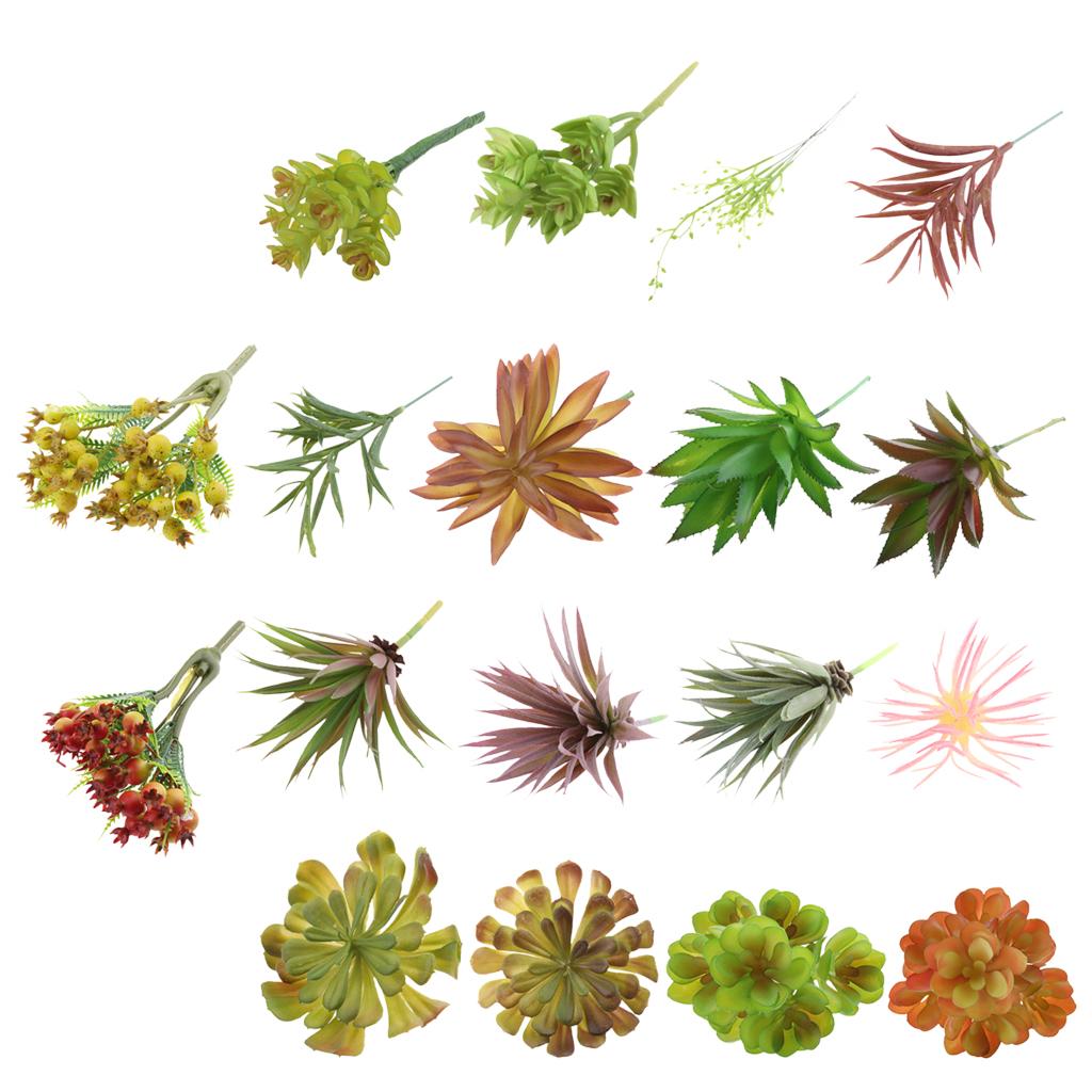 ต้นไม้ประดิษฐ์จากพลาสติก จำลอง - Echeveria Succulent บทวิจารณ์และราคา