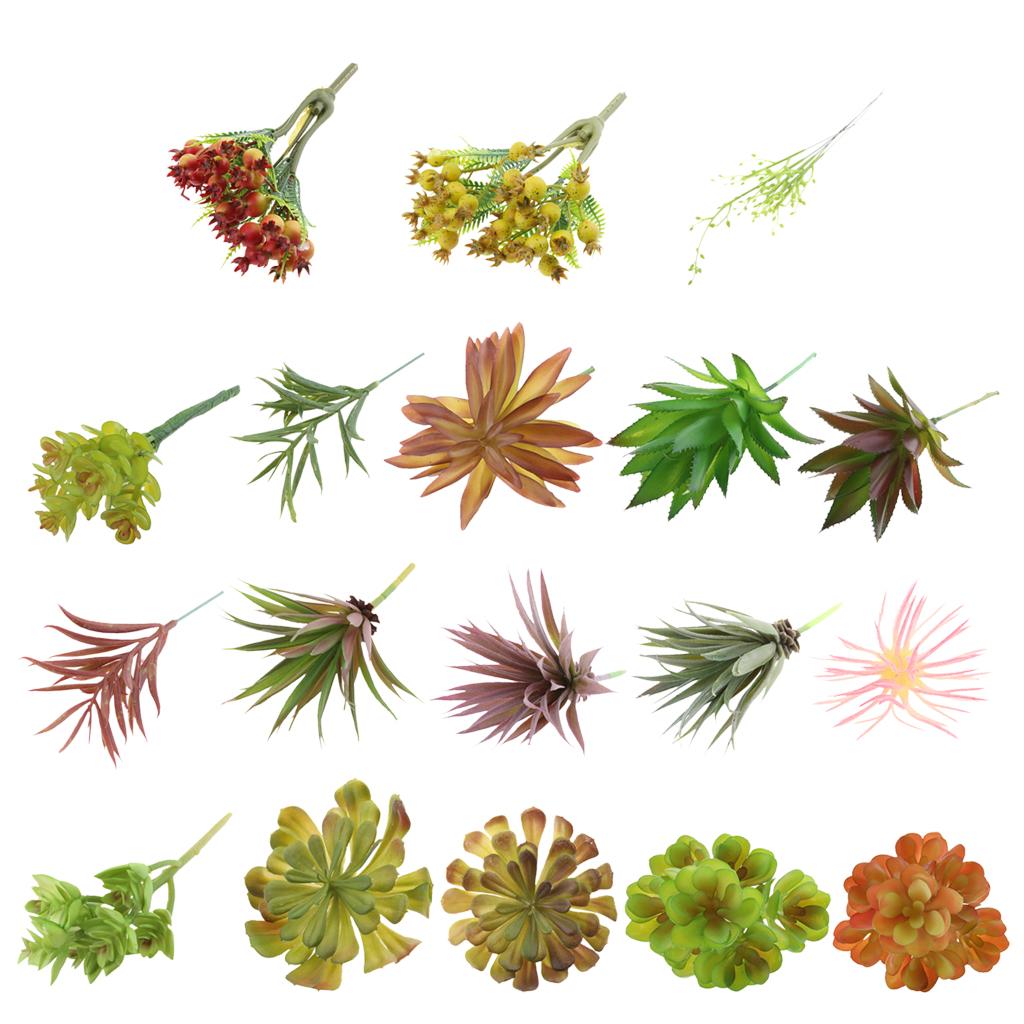 ต้นไม้ประดิษฐ์จากพลาสติก จำลอง - Echeveria Succulent บทวิจารณ์และราคา