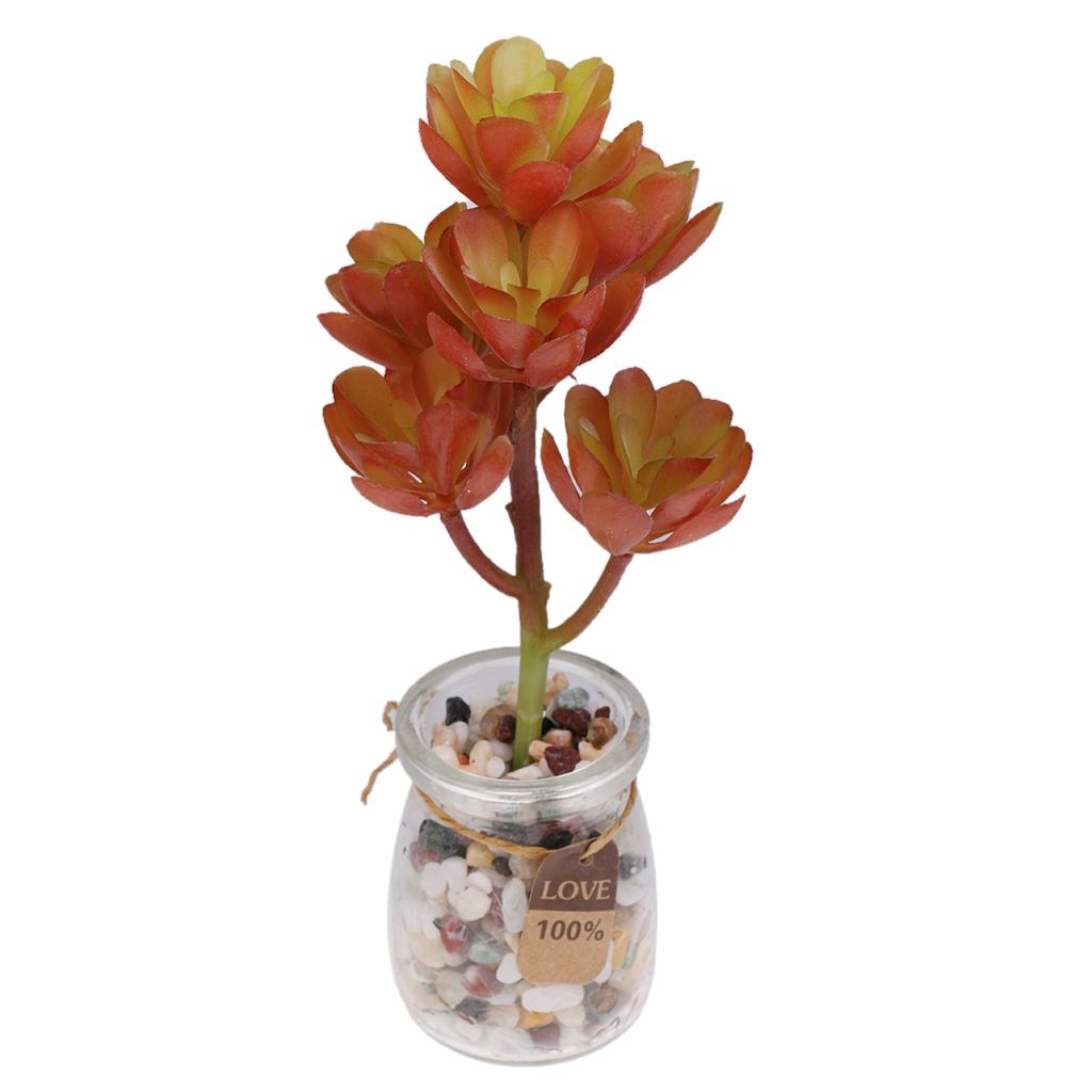 ต้นไม้ประดิษฐ์จากพลาสติก จำลอง - Echeveria Succulent บทวิจารณ์และราคา