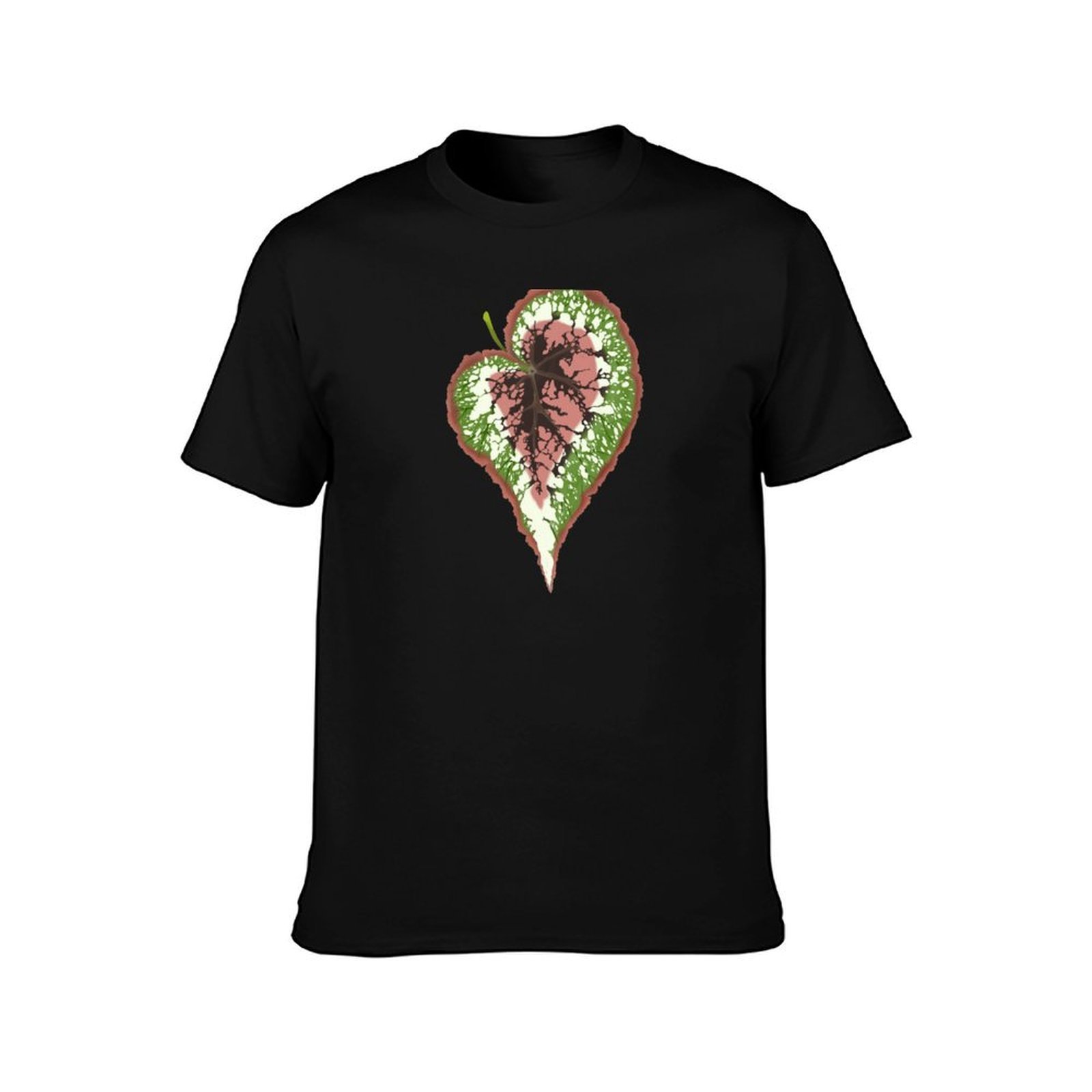 เสื้อยืดลายเบโกเนีย เร็กซ์ เสื - Begonia Rex บทวิจารณ์และราคา
