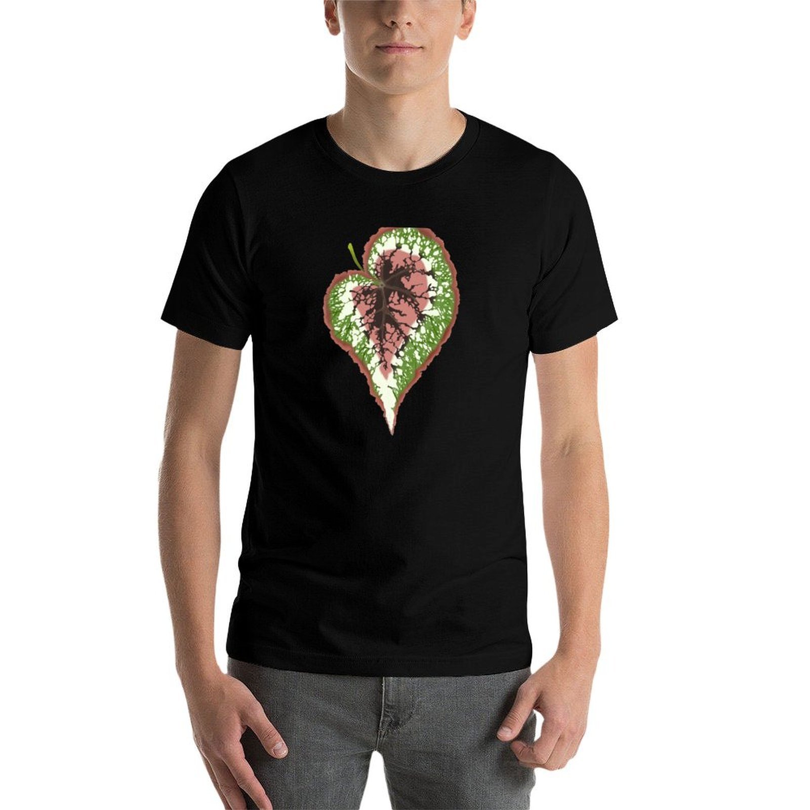 เสื้อยืดลายเบโกเนีย เร็กซ์ เสื - Begonia Rex บทวิจารณ์และราคา