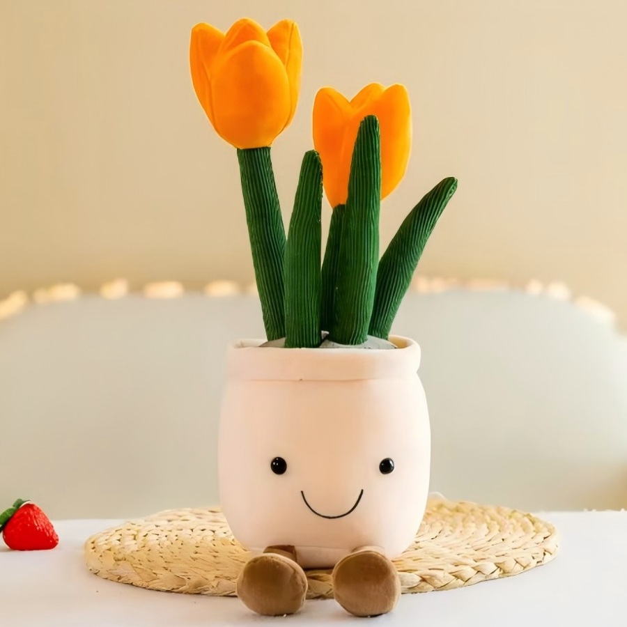 ตุ๊กตาต้นทิวลิปและไม้อวบน้ำเสม - Echeveria Succulent บทวิจารณ์และราคา