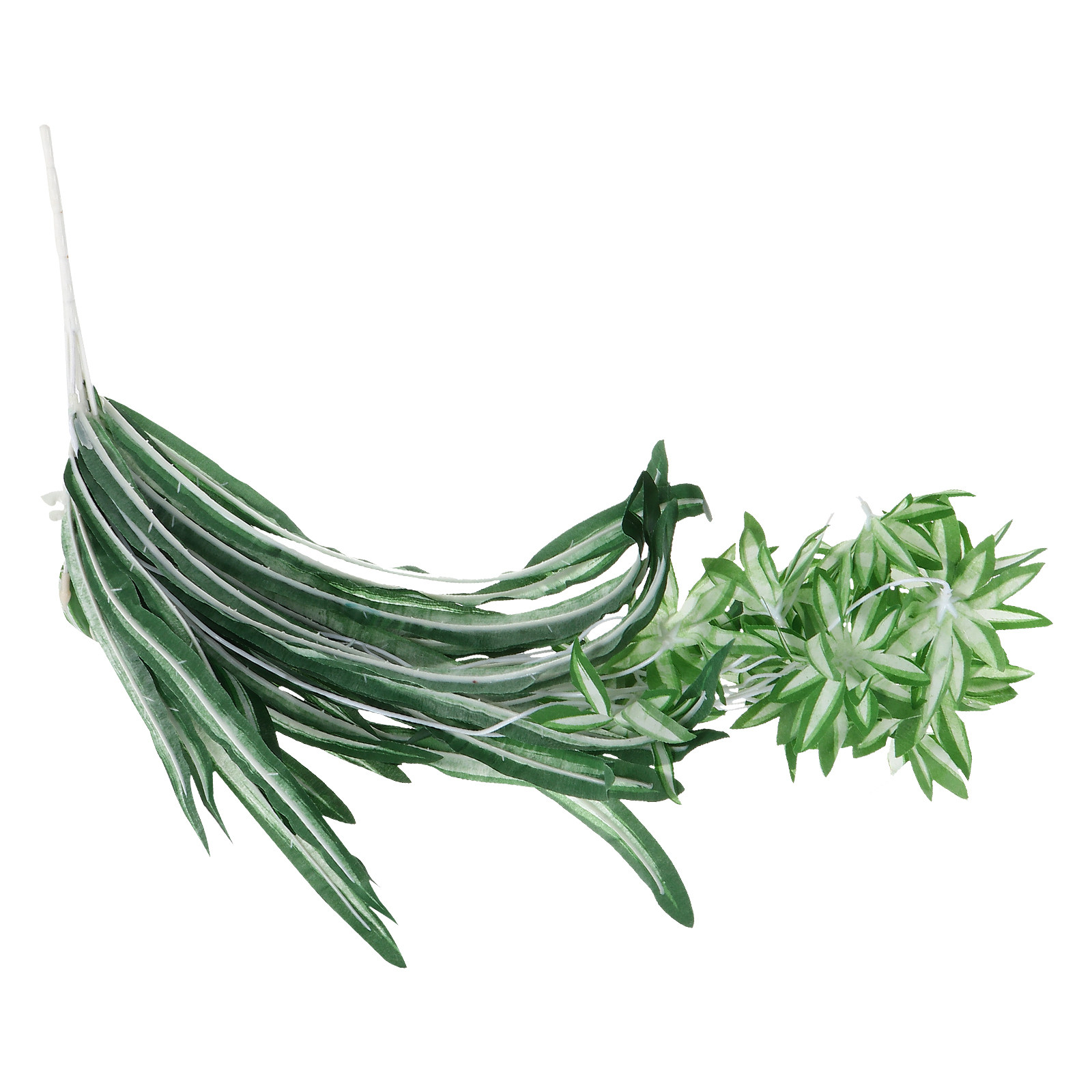 ต้นไม้ประดิษฐ์ลายแมงมุม ต้นไม้ - Spider Plant Hanging บทวิจารณ์และราคา