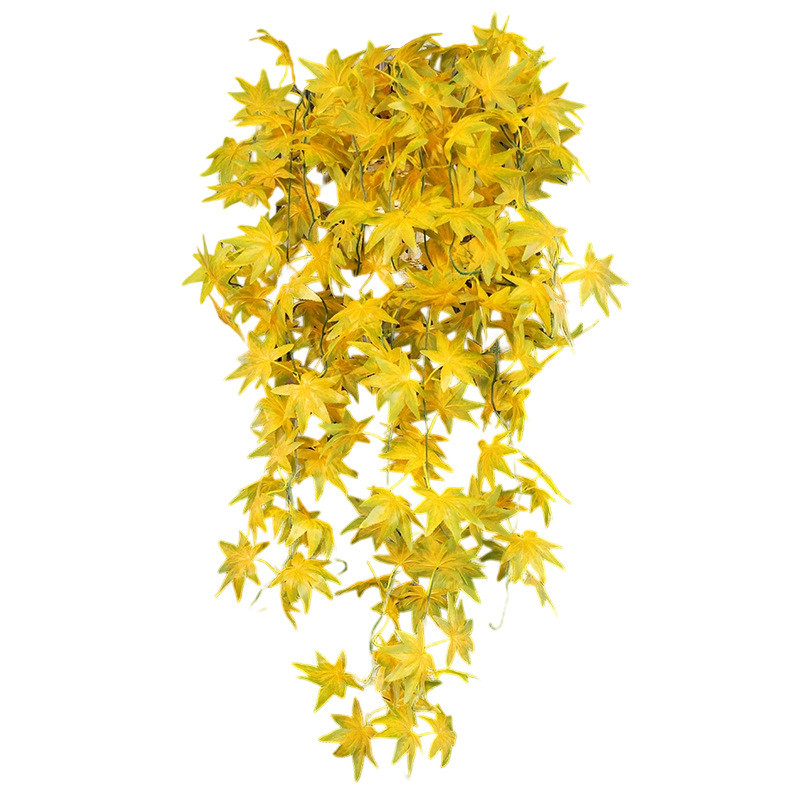 ผนังใบเมเปิ้ล 5 ง่ามประดิษฐ์ - - Dracaena Marginata บทวิจารณ์และราคา