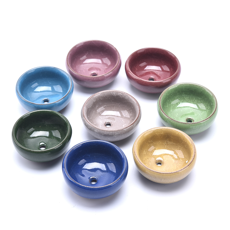 น่ารัก Ice-Crack Glaze ดอกไม้เ - Echeveria Succulent บทวิจารณ์และราคา
