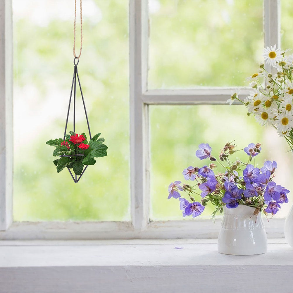 2 ชิ้น ที่แขวนต้นไม้ในอากาศ กร - Spider Plant Hanging บทวิจารณ์และราคา