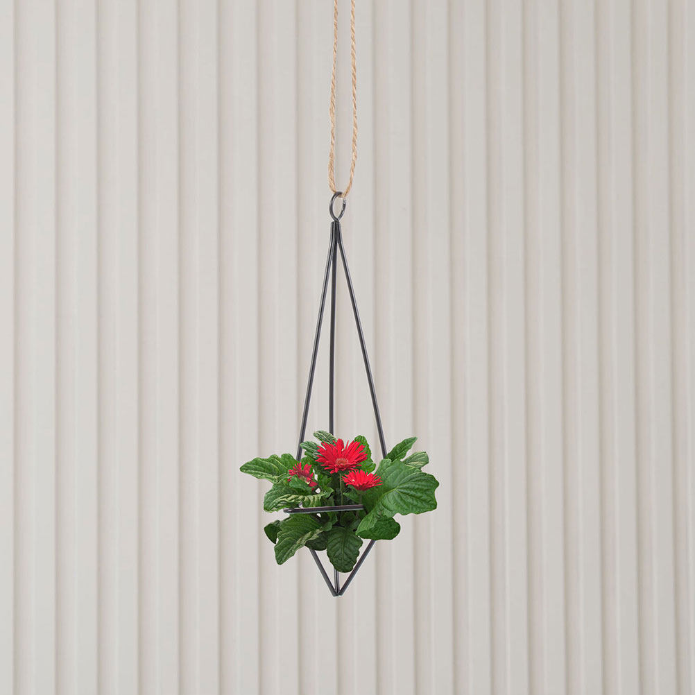 2 ชิ้น ที่แขวนต้นไม้ในอากาศ กร - Spider Plant Hanging บทวิจารณ์และราคา