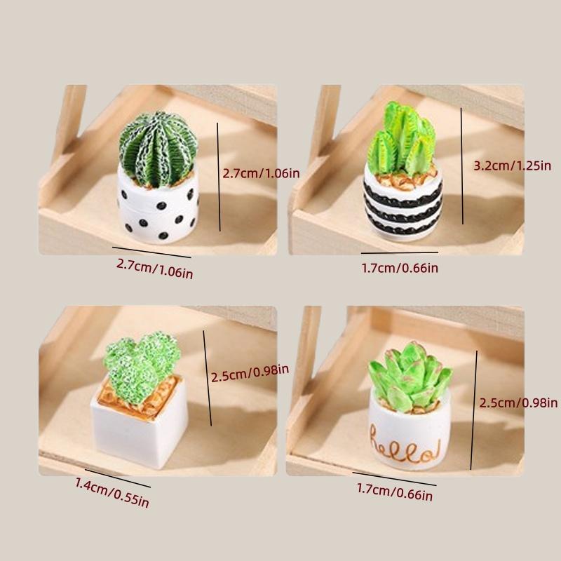 ชุด 4 ชิ้นของต้นกระบองเพชรและไ - Echeveria Succulent บทวิจารณ์และราคา