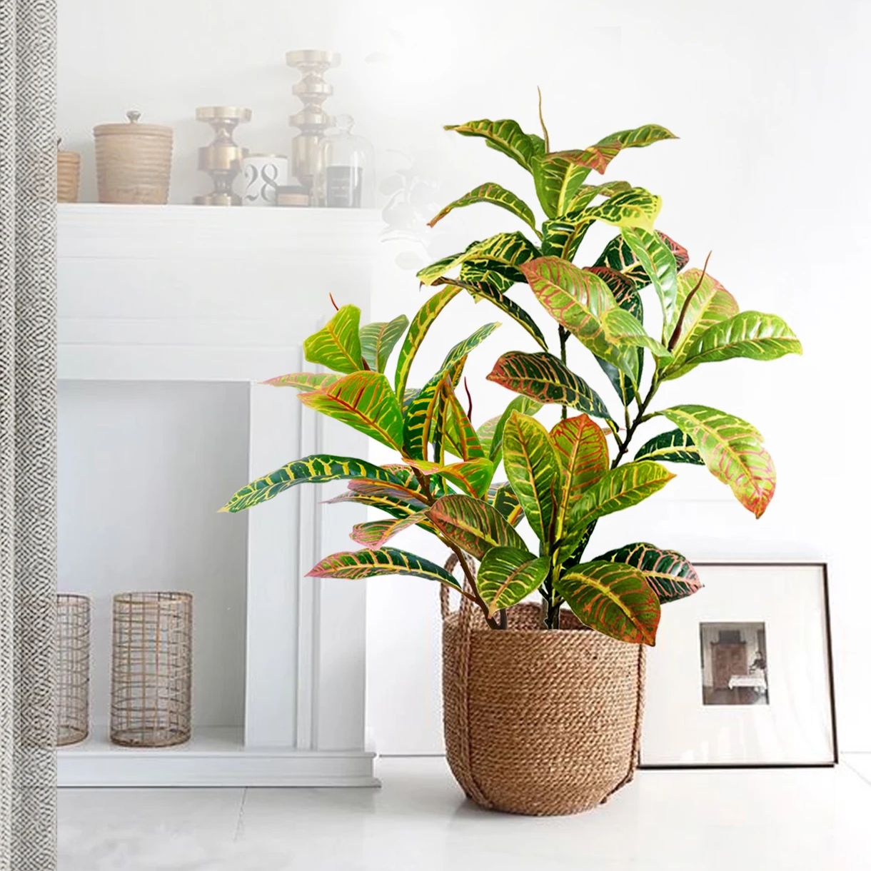 ต้นไม้ประดิษฐ์ขนาด 32-120 ซม.  - Dracaena Marginata บทวิจารณ์และราคา