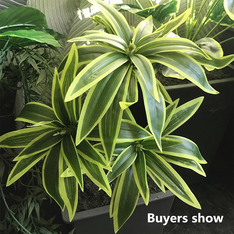 35ซม.3ส้อมประดิษฐ์เดสก์ท็อปปลอ - Dracaena Marginata บทวิจารณ์และราคา